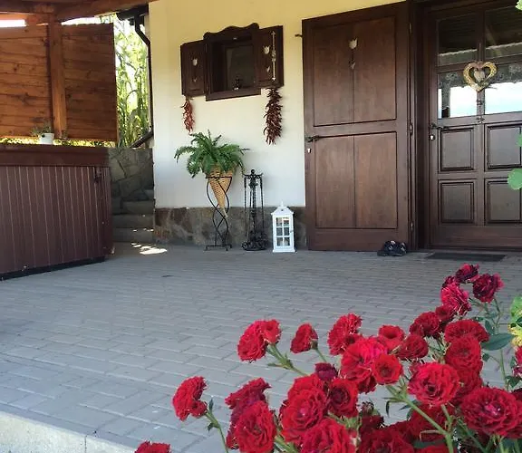 Voeroesmal Vendeghaz 블로톤퓌레드